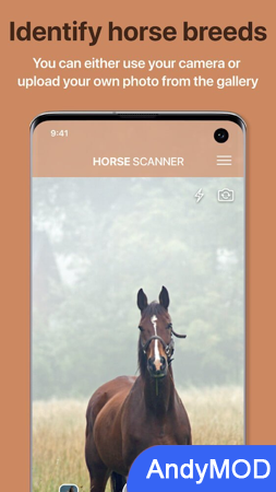 Horse Scanner