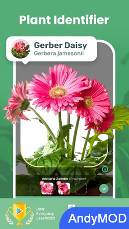 Blossom - Plant Identifier 