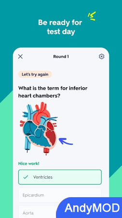 Quizlet: AI-powered Flashcards 