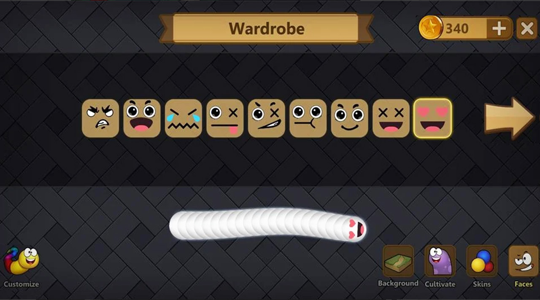 Snake Lite - Worm Snake Game