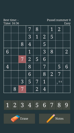 Sudoku Puzzle